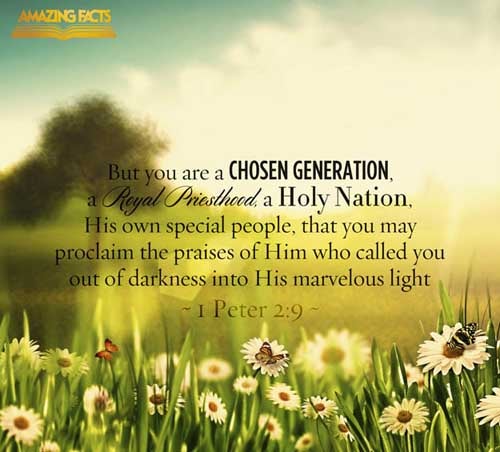 1 Peter 2:9