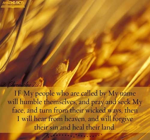 2 Chronicles 7:14