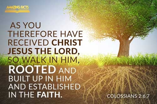 Colossians 2:6-7