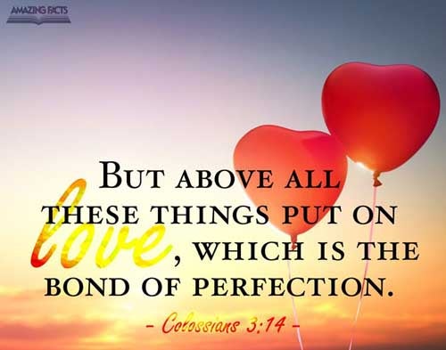 Colossians 3:14