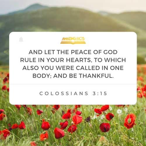 Colossians 3:15