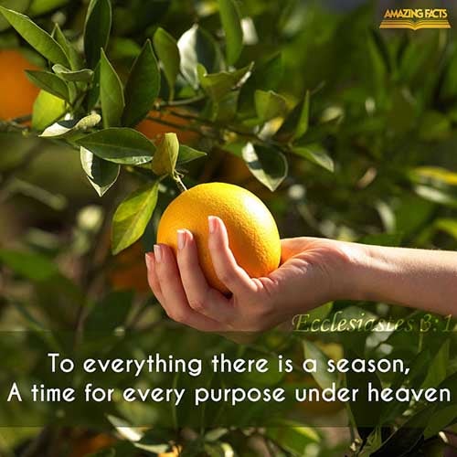 Ecclesiastes 3:1