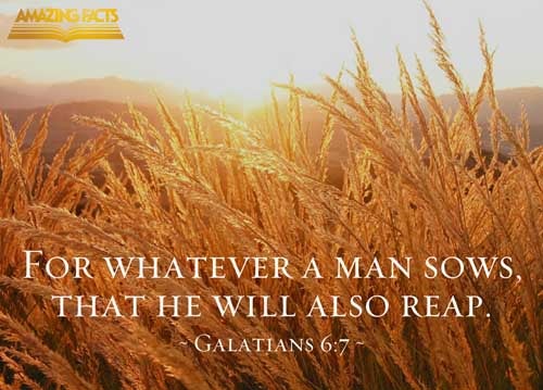 Galatians 6:7
