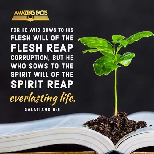 Galatians 6:8