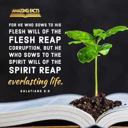 Galatians 6:8