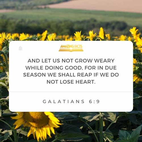 Galatians 6:9