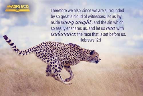 Hebrews 12:1