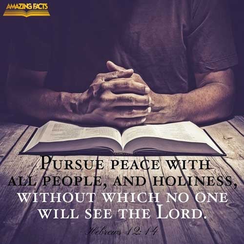 Hebrews 12:14