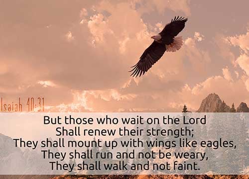 Isaiah 40:31