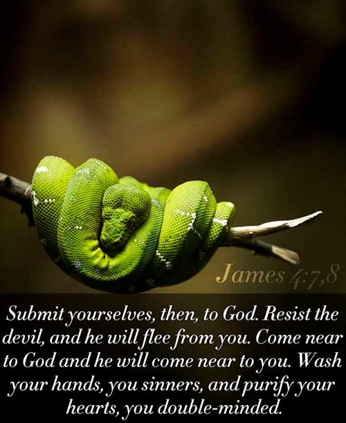 James 4:7-8