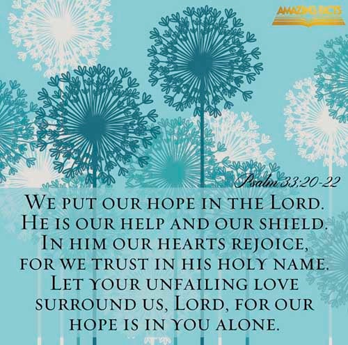 Psalms 33:20-22