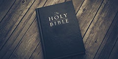 Bible Reference for Destruction of the Wicked?