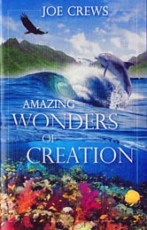 Amazing Wonders of Creation