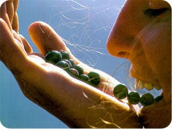 6. What is a good Bible rule for healthful living?