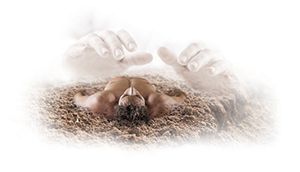 Adam was created by God in the beginning. Adam was created by God in the beginning.