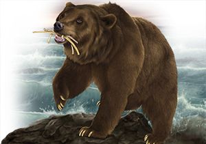 The bear with three ribs in its mouth symbolizes Medo-Persia. The bear with three ribs in its mouth symbolizes Medo-Persia.